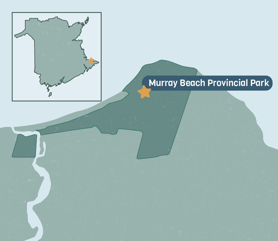 Murray beach provincial park